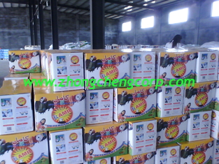 China hot sale 10kg, 25kg middle quality clothes washing powder/detergent powder to dubai market supplier