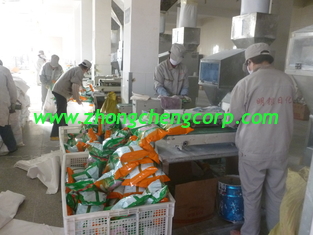 China top quality 100g, 200g 300g low price detergent powder/washing powder to afirca market supplier