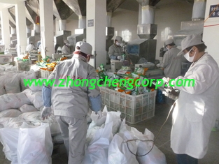 China lemon smell 70g 90g good quality washing powder/bulk bag detergent powder for hand washing supplier