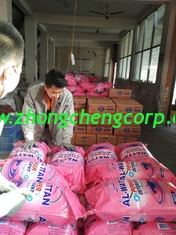 China 1kg 2kg good quality washing powder/ high foam famous detergent powder with cheap price supplier