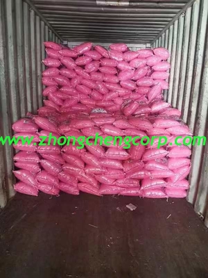 cheap Hand Washing and Automatic Machine Concentrated Detergent Washing Powder Washing 900g Clothes detergent to tazania