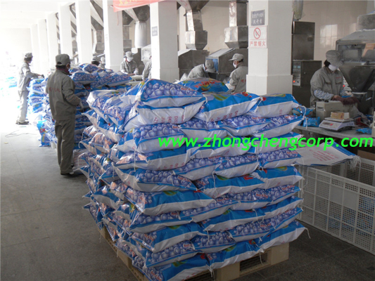 we produce oem low price detergent powder/low price detergent washing powder from linyi