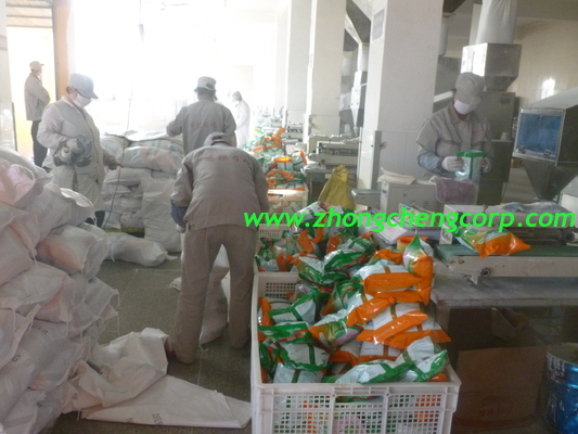 we produce oem low price detergent powder/low price detergent washing powder from linyi