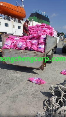 laundry whiteners laundry washing powder 25kg bag laundry washing powder Eco-friednly washing power to Zanzibar market